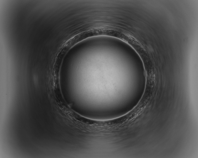 X0000097960822200803241212