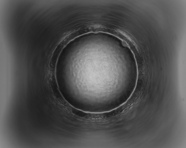 X0000097960823200803241212