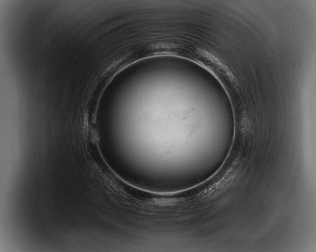 X0000097960825200803241212