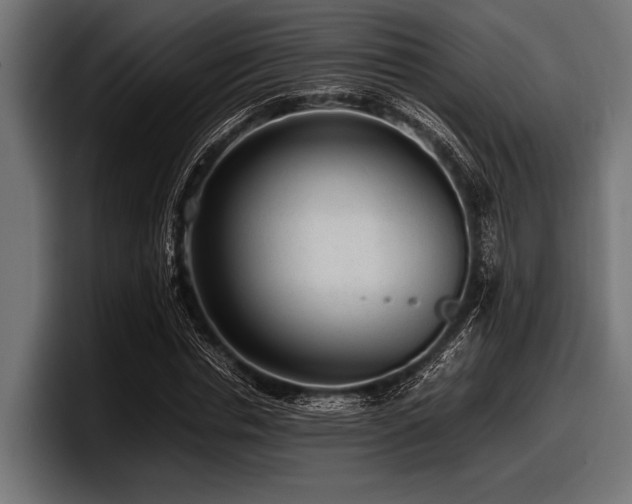 X0000097960826200803241212