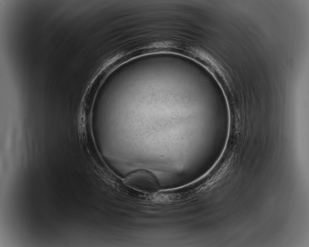 X0000097960827200803241212