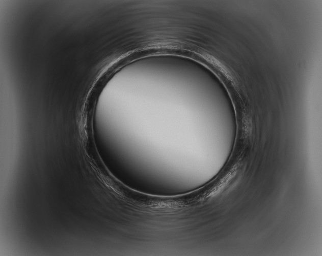 X0000097960830200803241212