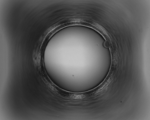 X0000097960831200803241212