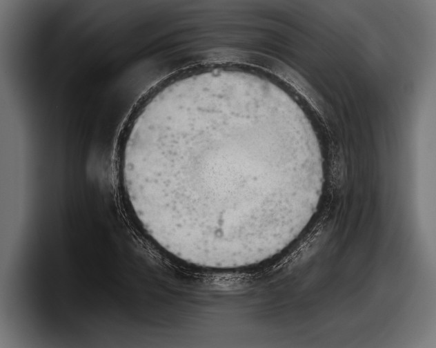 X0000097960832200803241212