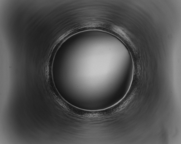 X0000097960834200803241212