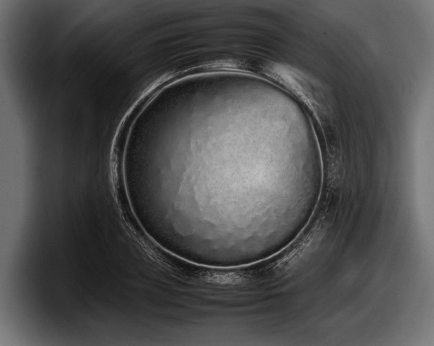 X0000097960835200803241212