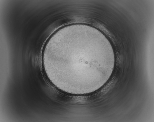 X0000097960836200803241212