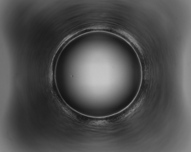 X0000097960837200803241212