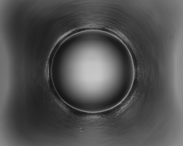 X0000097960838200803241212