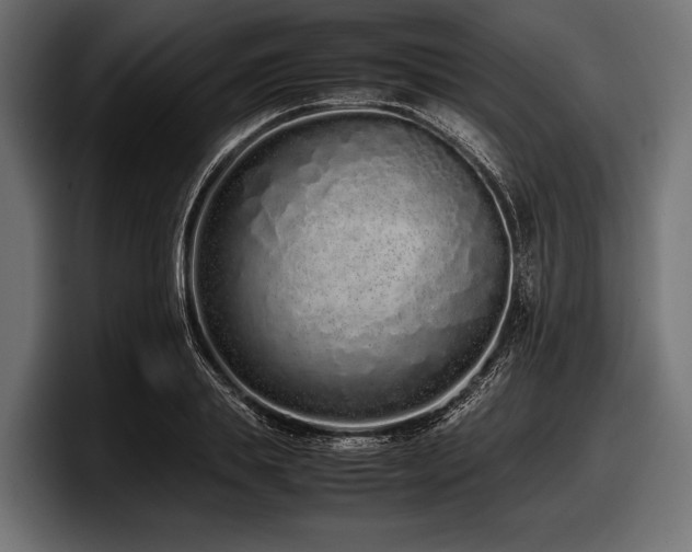 X0000097960839200803241212