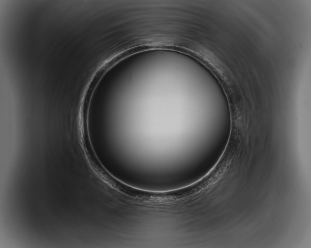 X0000097960840200803241212