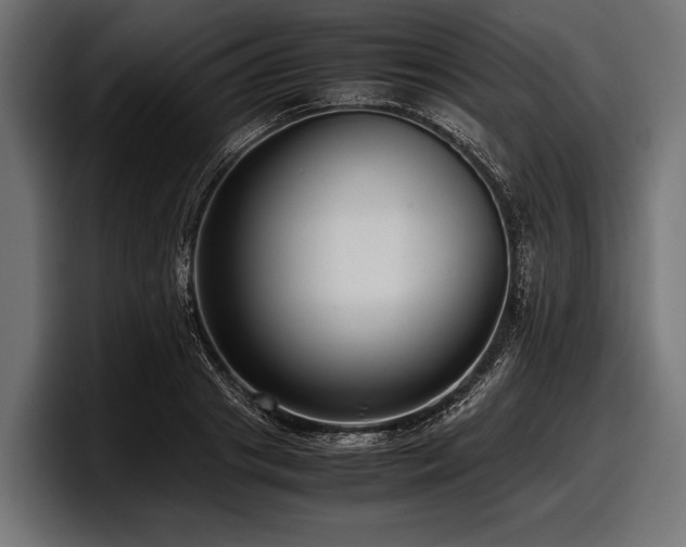 X0000097960841200803241212