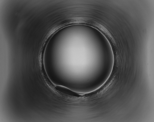 X0000097960842200803241212