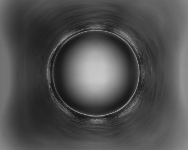 X0000097960843200803241212