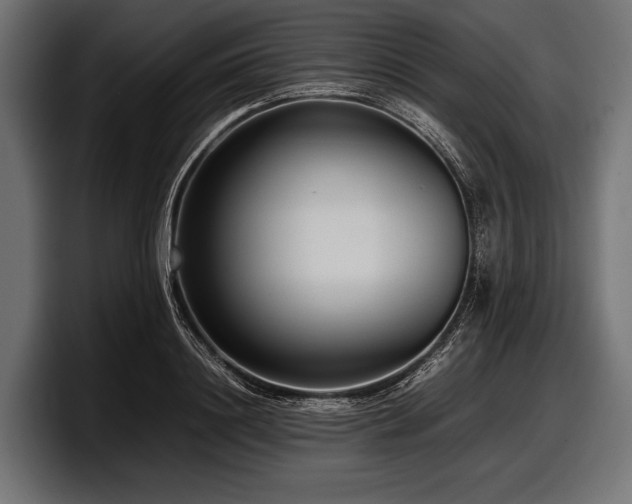 X0000097960844200803241212