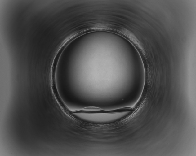 X0000097960845200803241212