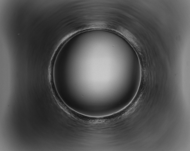 X0000097960846200803241212