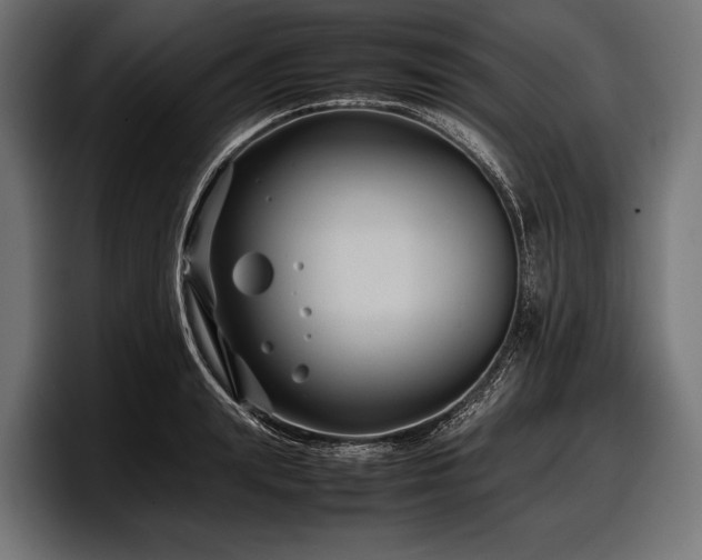 X0000097960847200803241212