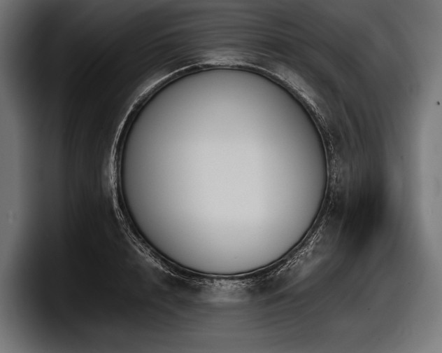 X0000097960848200803241212
