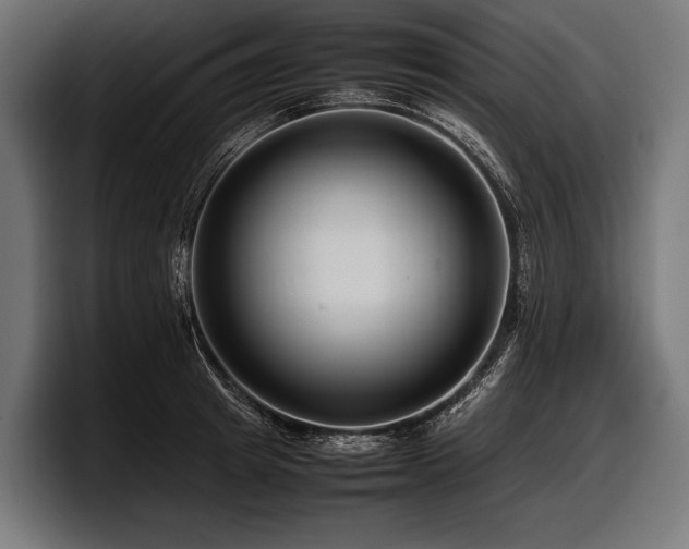 X0000097960849200803241212