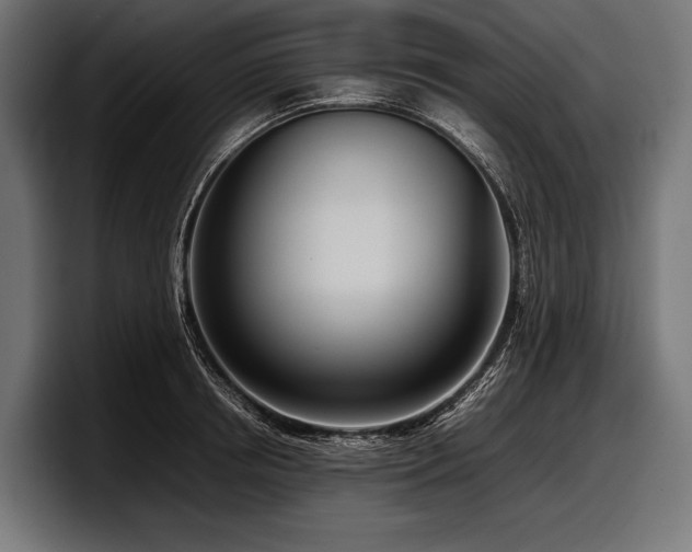 X0000097960850200803241212