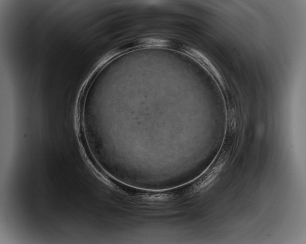 X0000097960851200803241212
