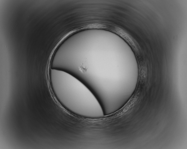 X0000097960852200803241212