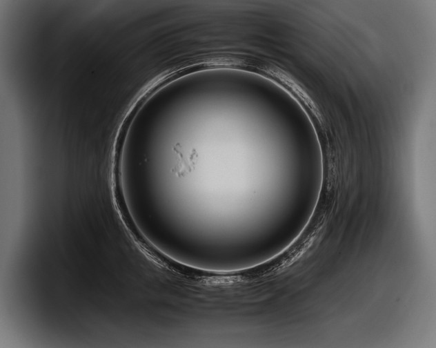 X0000097960853200803241212