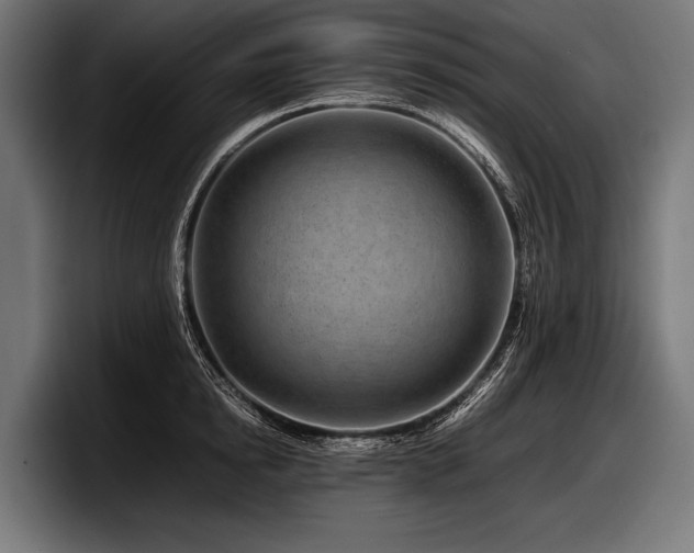 X0000097960854200803241212