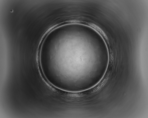 X0000097960855200803241212
