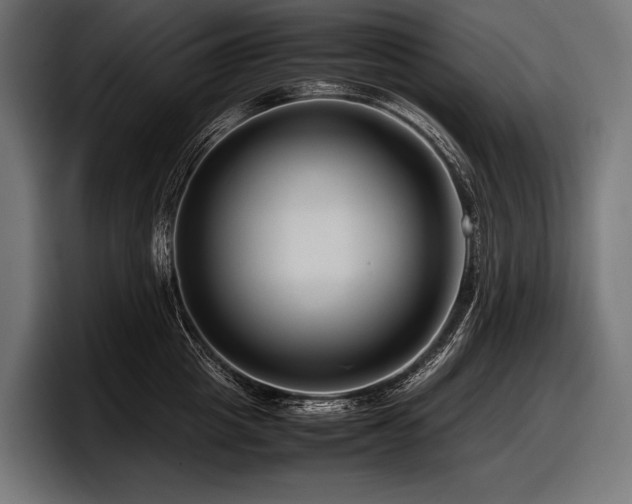 X0000097960857200803241212