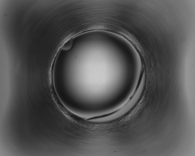 X0000097960858200803241212