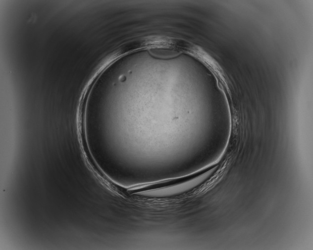 X0000097960859200803241212