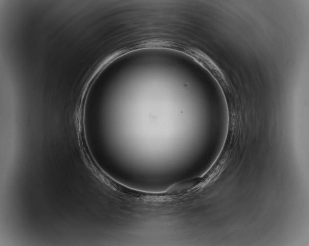 X0000097960860200803241212