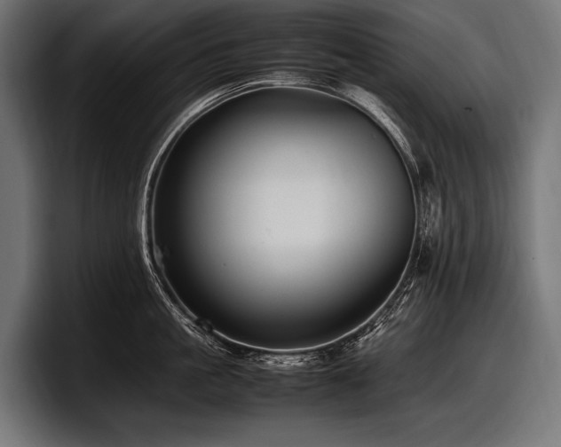 X0000097960861200803241212