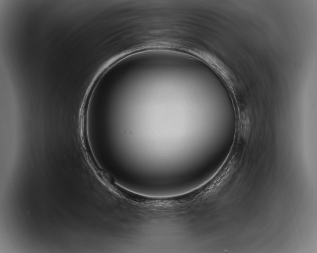 X0000097960862200803241212