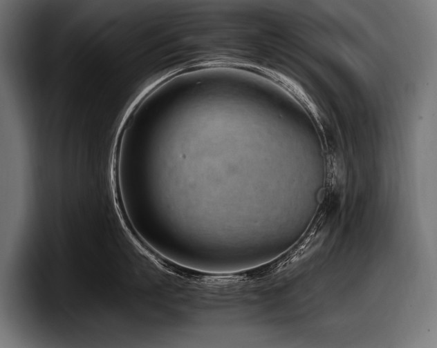 X0000097960863200803241212