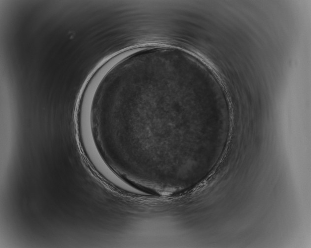 X0000097960864200803241212