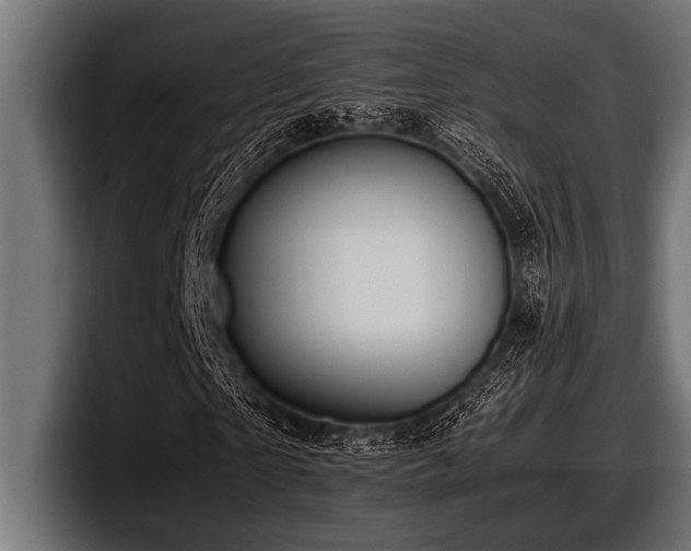 X0000097960865200803241212
