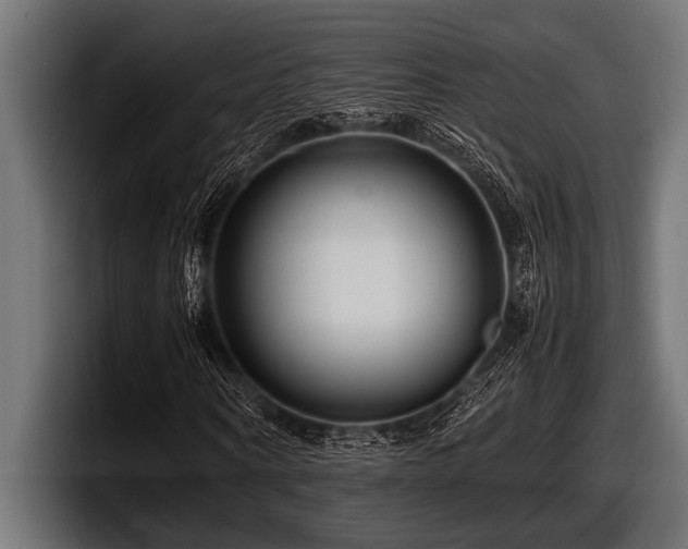 X0000097960866200803241212