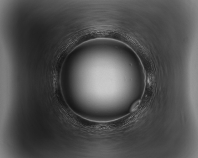 X0000097960867200803241212