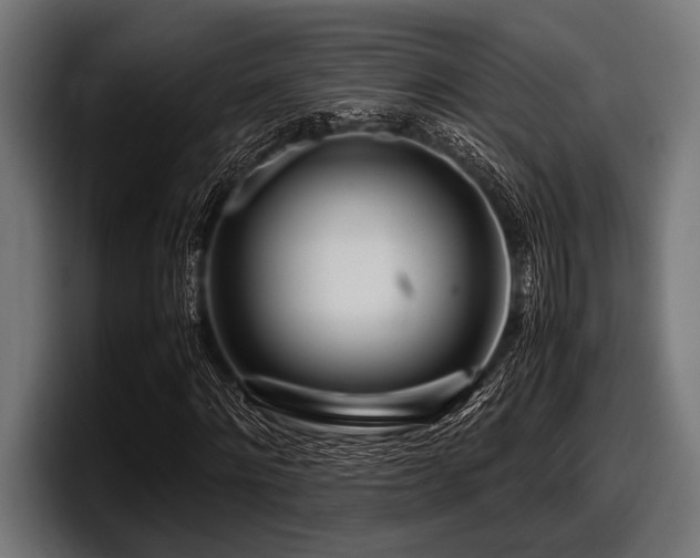 X0000097960868200803241212