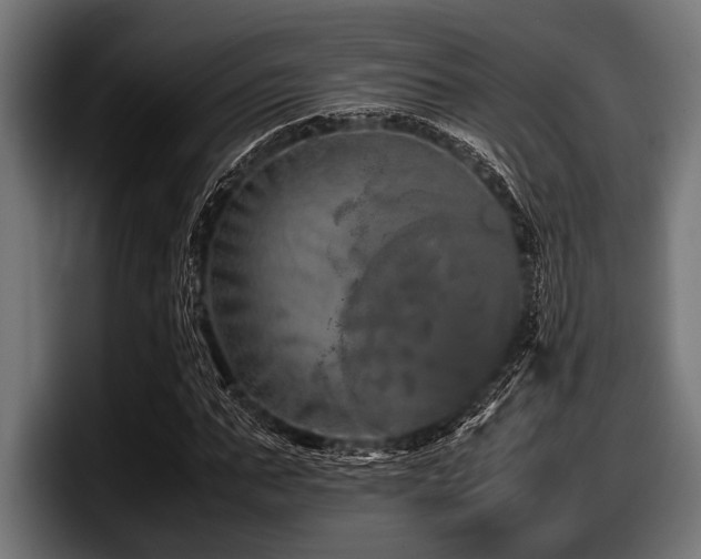 X0000097960871200803241212