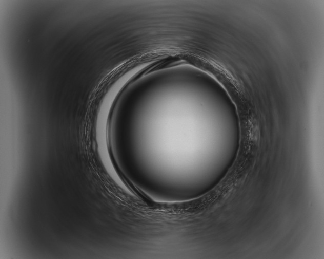 X0000097960872200803241212