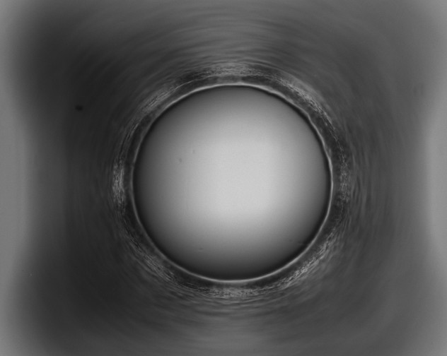 X0000097960873200803241212
