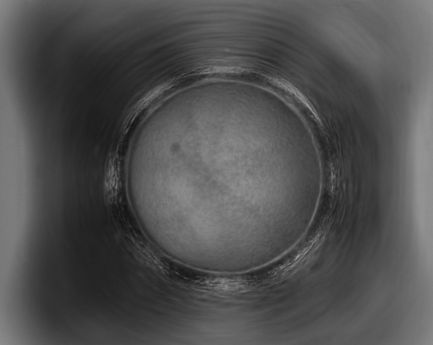X0000097960874200803241212