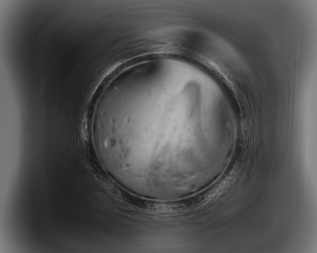 X0000097960875200803241212