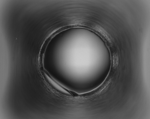X0000097960876200803241212