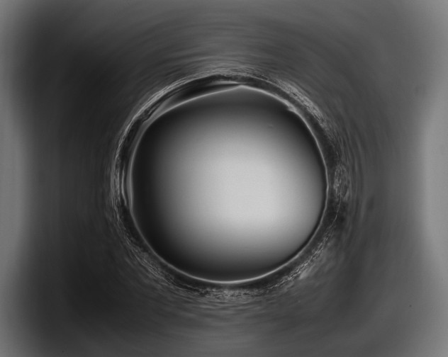 X0000097960877200803241212