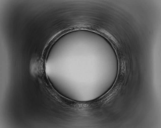 X0000097960878200803241212
